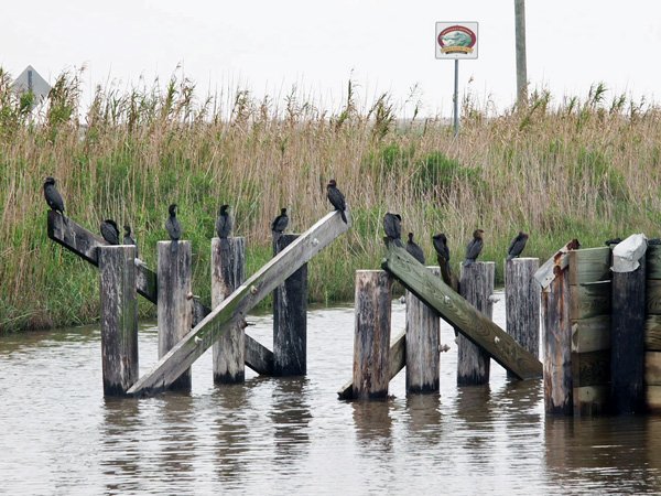 Canal in Sabine River Basin Louisiana