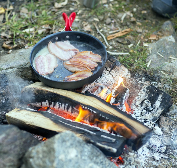 Cooking Fish Over a Campfire