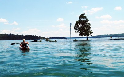 Kayak on Flooded Norfork Lake, Arkansas