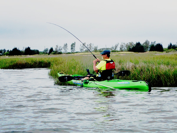 Redfish Hooked on Topwater Lure