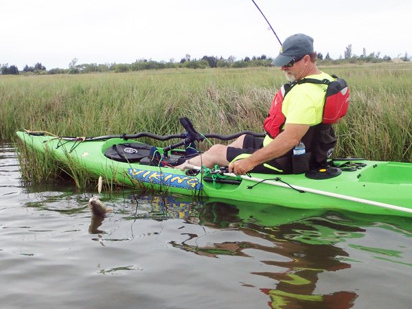 Bringing a Tired Redfish to the Kayak