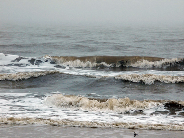 Louisiana Gulf Coast